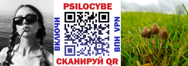 сколько стоит  Ряжск  Галлюциногенные грибы Cubensis 